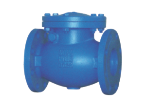 Ductile Iron Check Valves